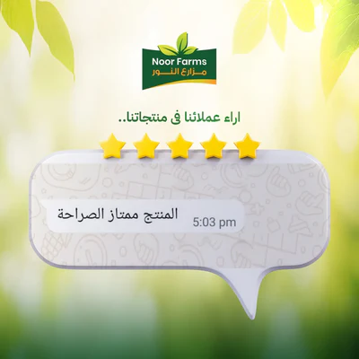 محمد